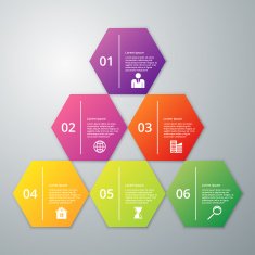 Vector illustration infographics six hexagon