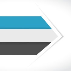 business color lines arrow for customization info graphics illu