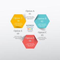 Vector infographic N102