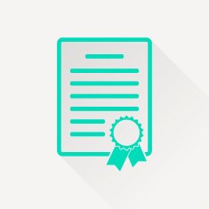 certificate with badge icon N9