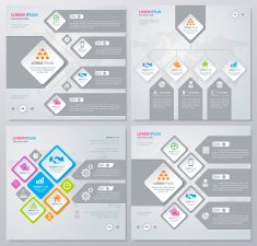 infographics N55