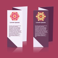 Brochures design for social infographic diagram presentation N24