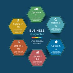 Vector infographic N126