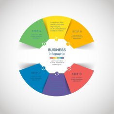 Vector circle infographic N48