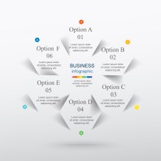 Vector infographic N132
