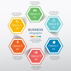 Vector infographic N144