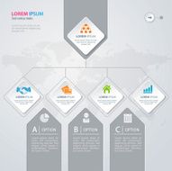 Infographic Design N81