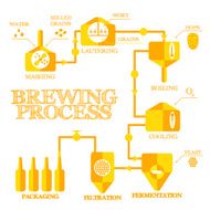 Brewery process infographics