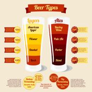 Types of beer infographic with places for your text or