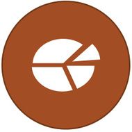 Pie Chart Icon N6