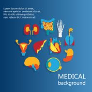Concept of medical background Human anatomy