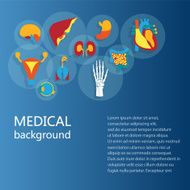 Concept of medical background Human anatomy N2