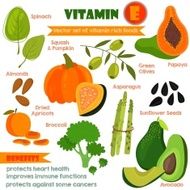 Vitamins and Minerals foods Illustrator set 13 Vector of vit