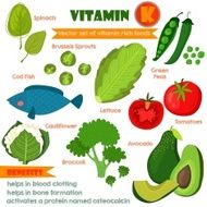 Vitamins and Minerals foods Illustrator set 12 Vector of vit