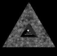 Abstract polygonal background N43