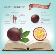 passion fruit and slice infographics