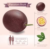 passion fruit2passion fruit and slice infographics