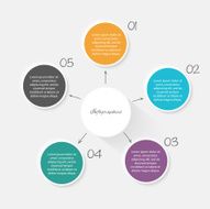 Vector colorful info graphics for your business presentations N136