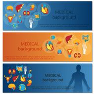 Concept of web banner Medical background Human anatomy
