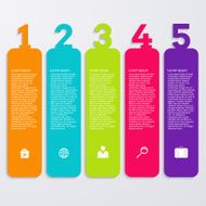 Vector illustration infographic five options N13