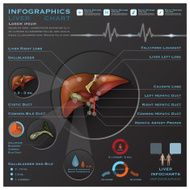 Liver And Gallbladder Medical Infographic Infochart N2