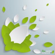 green leaves background N3