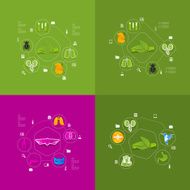 Veterinary sticker infographic N24