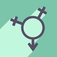 Flat with shadow icon and mobile application equality of the