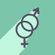 Flat with shadow icon and mobile application equality of the N3