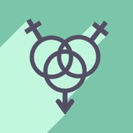 Flat with shadow icon and mobile application equality of the N4
