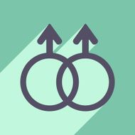Flat with shadow icon and mobile application equality of the N5