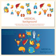 Concept of web banner Medical background Human anatomy N2