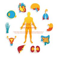 Medical background Human anatomy