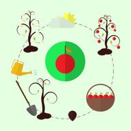 Planting apple trees flat vector