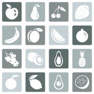 Vector Set of Fruit Icons N3