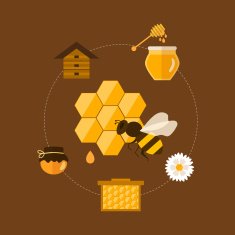 Flat design vector concept illustration with icons of products bee N2