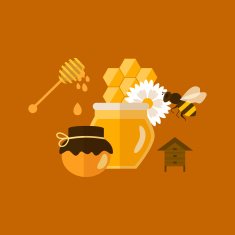 Flat design vector concept illustration with icons of products bee N3