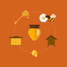 Flat design vector concept illustration with icons of products bee N4