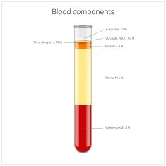 Blood components medical vector illustration