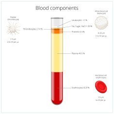 Blood components medical vector illustration N2