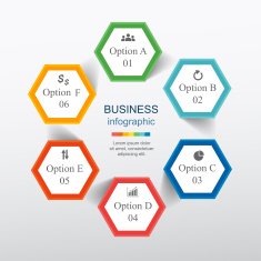 Vector infographic N155