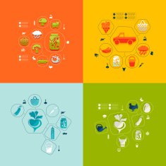 agriculture flat infographic N6