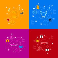 Veterinary sticker infographic N13