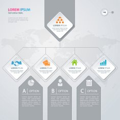 Infographic Design N81