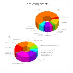 Urine components medical vector illustration
