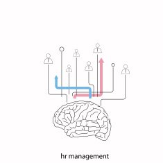 Creative concept of the human brain N3