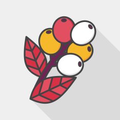 coffee fruit flat icon with long shadow eps10