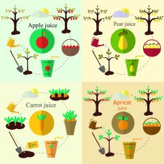 Planting process set and juice flat vector