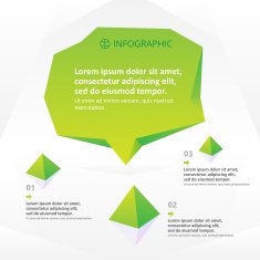 infographics template N39