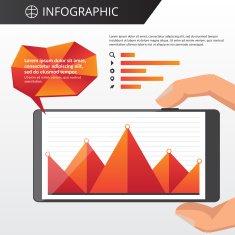 infographics template N42